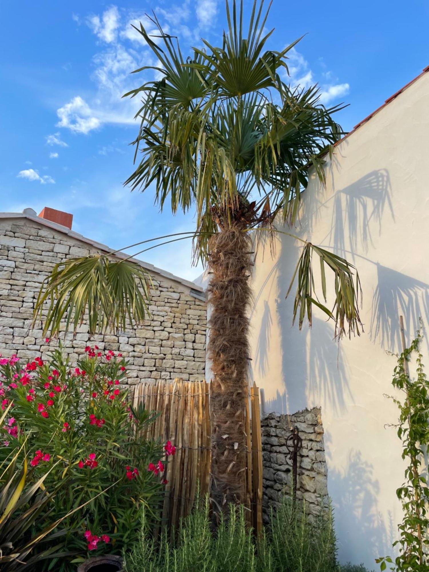 Maisons 322 - Maison La Flamboyante Le Bois-Plage-en-Ré Exterior foto